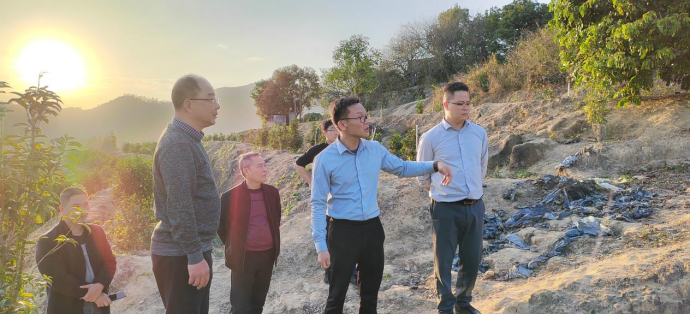 “绿肥 ”扮靓田园迎客来(2)705.png