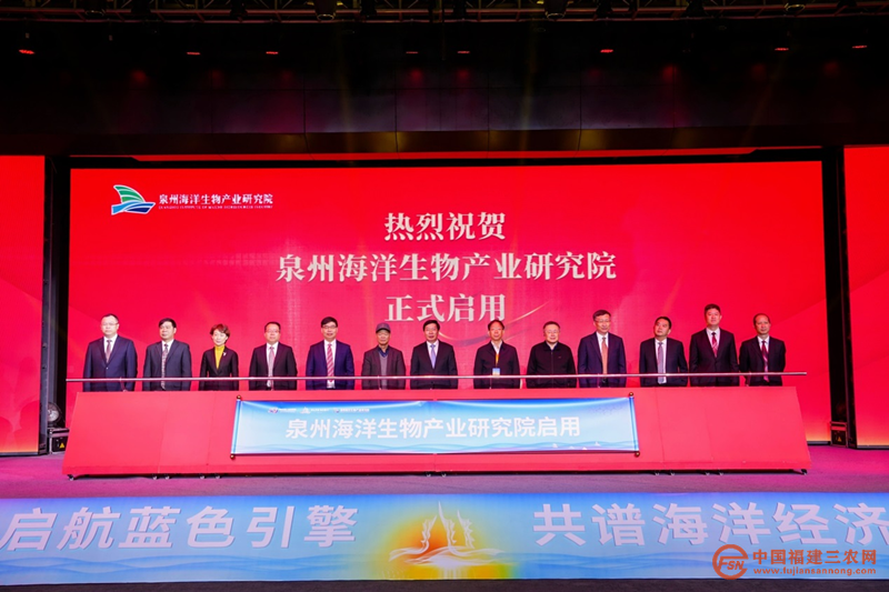 图片13.png