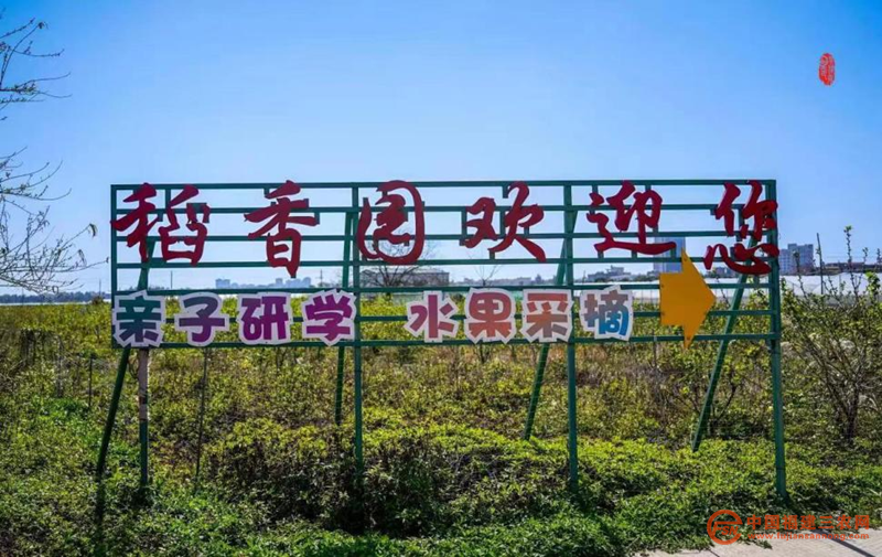 图片19.png